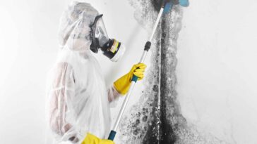 Memphis Mold Removal
